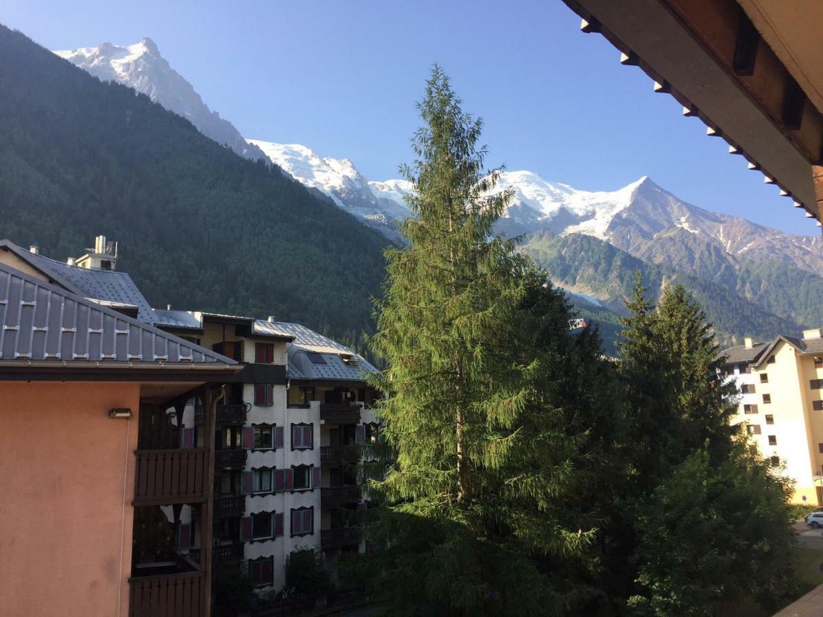 Studio Chamonix Centre With Mont-Blanc View Lejlighed Eksteriør billede